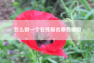 怎么做一个在线报名缴费链接