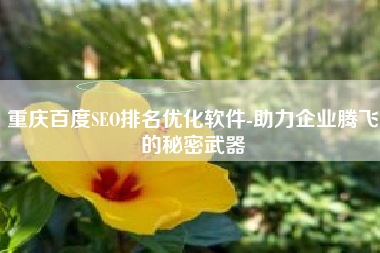 重庆百度SEO排名优化软件-助力企业腾飞的秘密武器