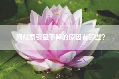 网站索引量下降的原因有哪些？