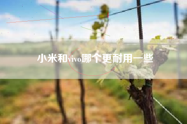 小米和vivo哪个更耐用一些