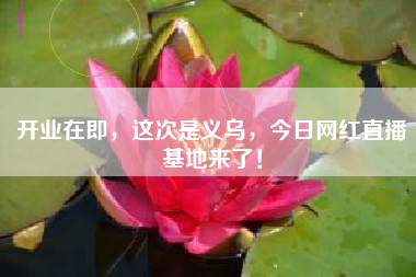 开业在即,这次是义乌,今日网红直播基地来了! 开业在即,这次是义乌,今日网红直播基地来了!