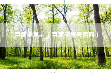 百度熊掌seo（百度熊掌号官网）