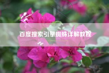 百度搜索引擎蜘蛛详解教程