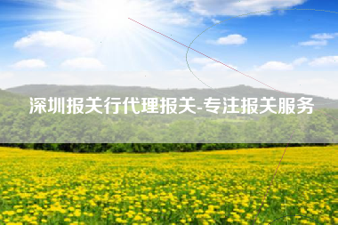 深圳报关行代理报关-专注报关服务
