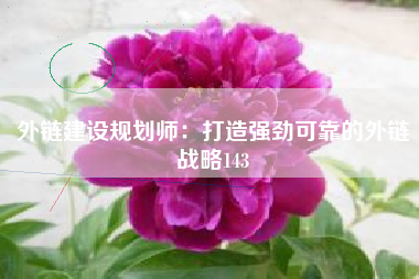 外链建设规划师：打造强劲可靠的外链战略143