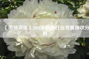 【市场资讯】2023手机壳行业发展现状分析