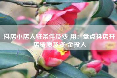 抖店小店入驻条件及费 用：盘点抖店开店资质及资 金投入