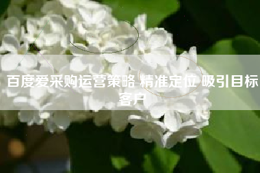 百度爱采购运营策略 精准定位 吸引目标客户