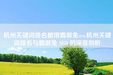 杭州关键词排名都用霸屏兔seo,杭州关键词排名与霸屏兔 SEO 的深度剖析