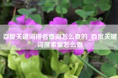 百度关键词排名查询怎么查的_百度关键词搜索量怎么查