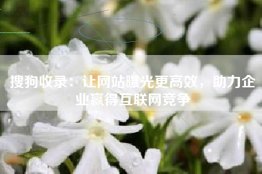 搜狗收录：让网站曝光更高效，助力企业赢得互联网竞争