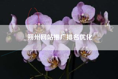朔州网站推广排名优化