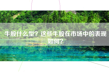 牛股什么型？这些牛股在市场中的表现如何？