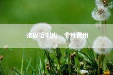 雅思培训班一个月费用