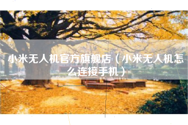 小米无人机官方旗舰店（小米无人机怎么连接手机）