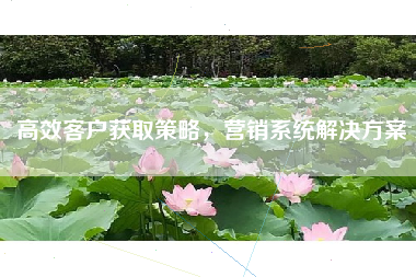 高效客户获取策略，营销系统解决方案