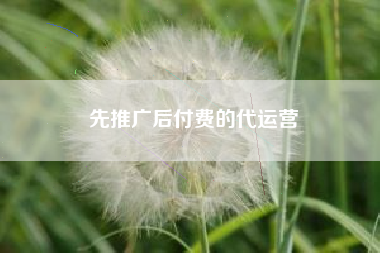 先推广后付费的代运营