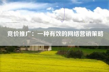 竞价推广：一种有效的网络营销策略