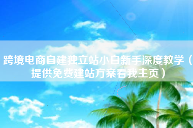 跨境电商自建独立站小白新手深度教学（提供免费建站方案看我主页）