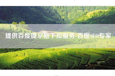 提供百度提示框下拉服务-百度SEO专家
