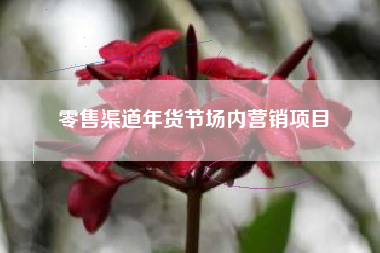 零售渠道年货节场内营销项目