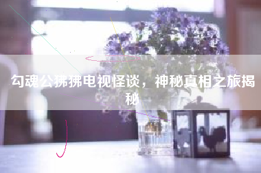 勾魂公狒狒电视怪谈，神秘真相之旅揭秘