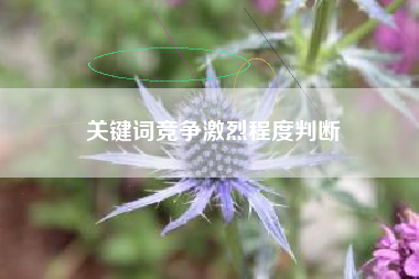 关键词竞争激烈程度判断