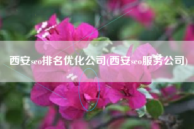 西安seo排名优化公司(西安seo服务公司)