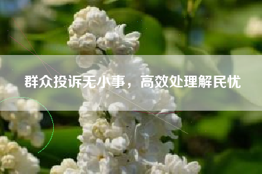 群众投诉无小事，高效处理解民忧