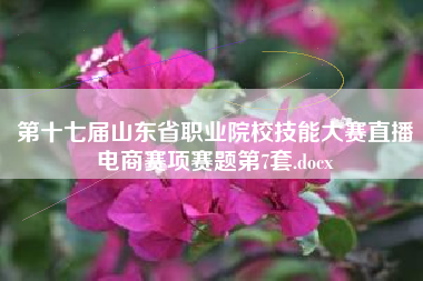 第十七届山东省职业院校技能大赛直播电商赛项赛题第7套.docx