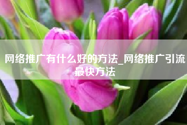 网络推广有什么好的方法_网络推广引流最快方法