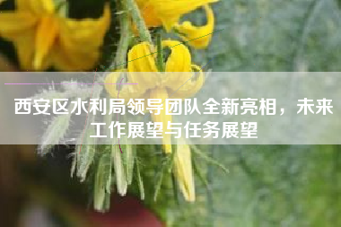 西安区水利局领导团队全新亮相，未来工作展望与任务展望