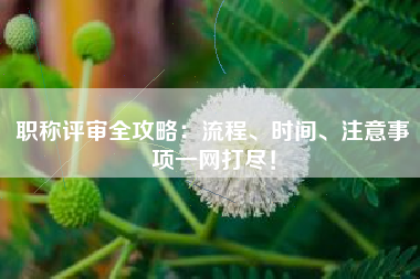 职称评审全攻略：流程、时间、注意事项一网打尽！