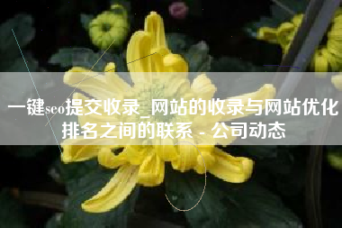 一键seo提交收录_网站的收录与网站优化排名之间的联系 - 公司动态