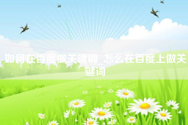 如何在百度做关键词_怎么在百度上做关键词