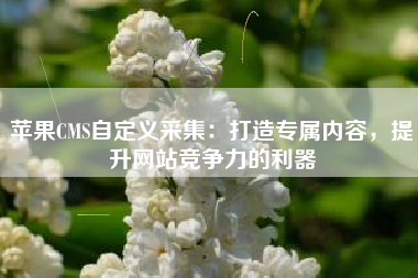 苹果CMS自定义采集：打造专属内容，提升网站竞争力的利器