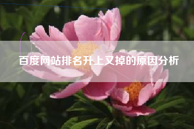 百度网站排名升上又掉的原因分析