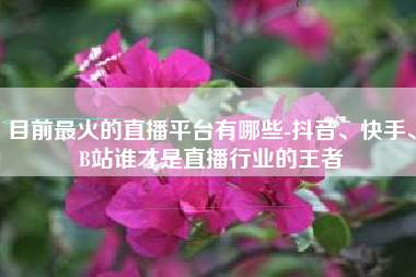 目前最火的直播平台有哪些-抖音、快手、B站谁才是直播行业的王者