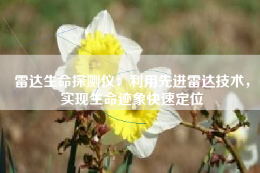 雷达生命探测仪：利用先进雷达技术，实现生命迹象快速定位