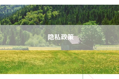 隐私政策 隐私政策