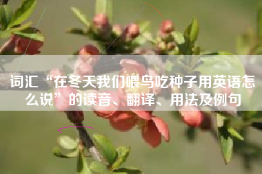 词汇“在冬天我们喂鸟吃种子用英语怎么说”的读音、翻译、用法及例句