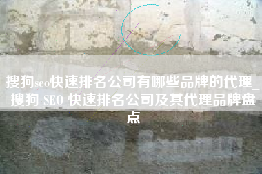 搜狗seo快速排名公司有哪些品牌的代理_搜狗 SEO 快速排名公司及其代理品牌盘点
