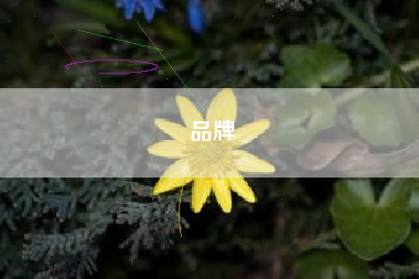 品牌