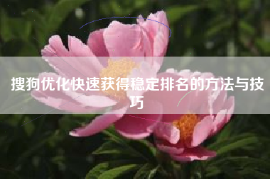搜狗优化快速获得稳定排名的方法与技巧