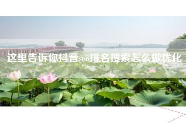 这里告诉你抖音seo排名搜索怎么做优化
