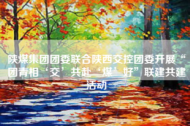 陕煤集团团委联合陕西交控团委开展“团青相‘交’共赴‘煤’好”联建共建活动