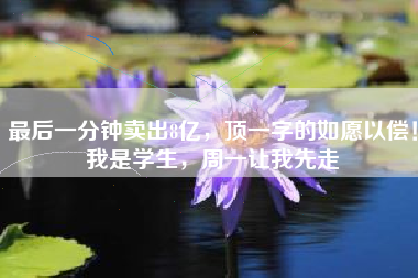 最后一分钟卖出8亿，顶一字的如愿以偿！我是学生，周一让我先走