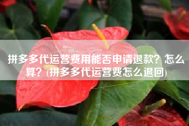 拼多多代运营费用能否申请退款？怎么算？(拼多多代运营费怎么退回)