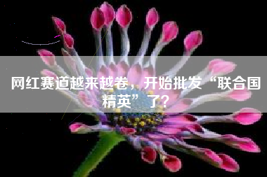 网红赛道越来越卷，开始批发“联合国精英”了？