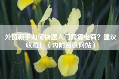 外贸新手如何快速入门跨境电商?建议收藏!(内附资讯网站) 外贸新手如何快速入门跨境电商?建议收藏!(内附资讯网站)
